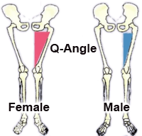 Q Angle