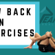 Low back pain exercises