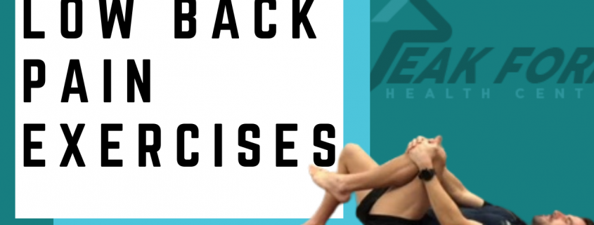 Low back pain exercises