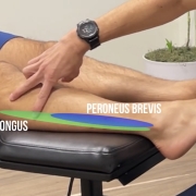 Peroneal tendonitis treatment san diego